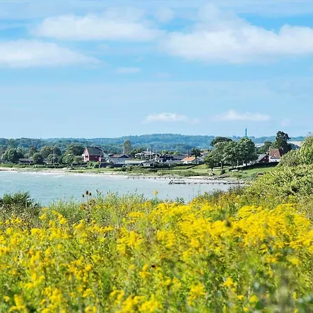 Дом отдыха 40308-juelsminde-engbo-20